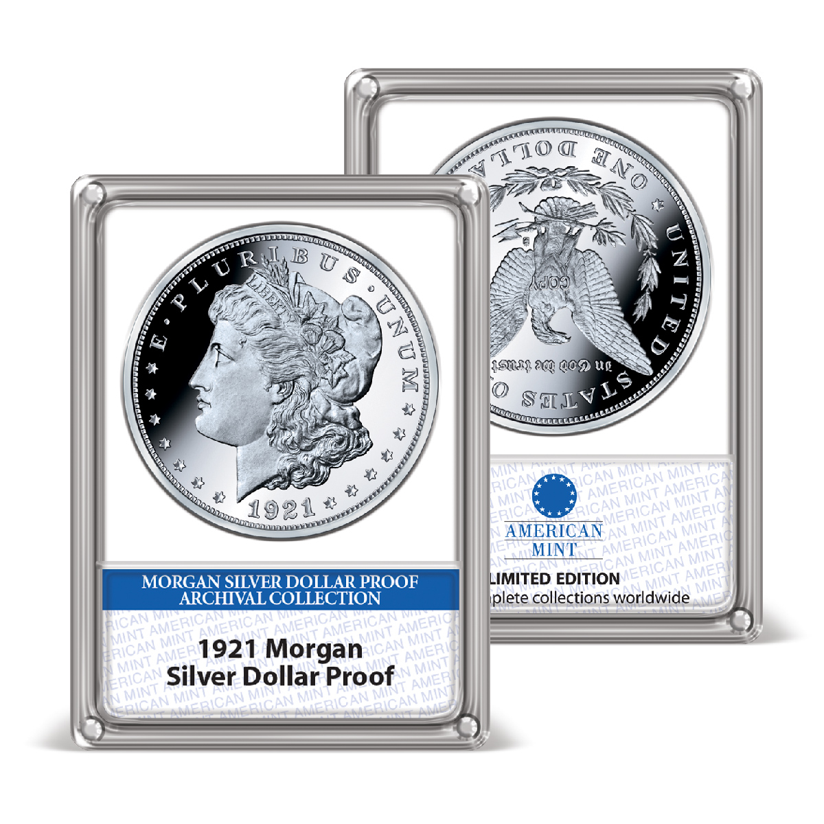 Morgan store Silver dollar