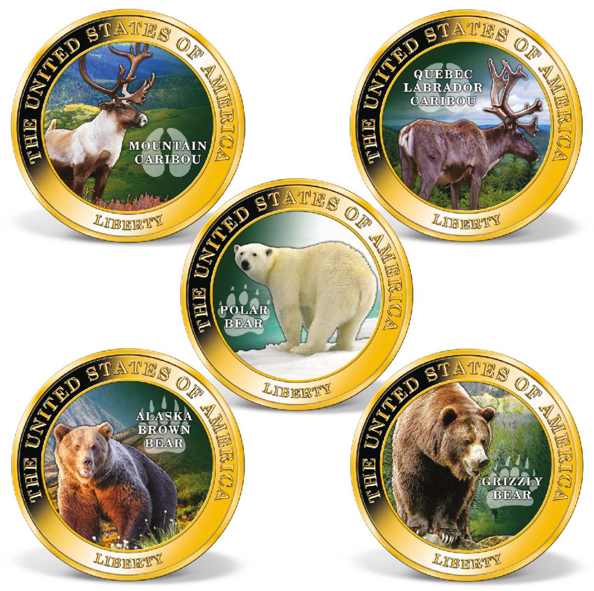 North American Big Game Super 29 | Gold-Layered | Gold | American Mint