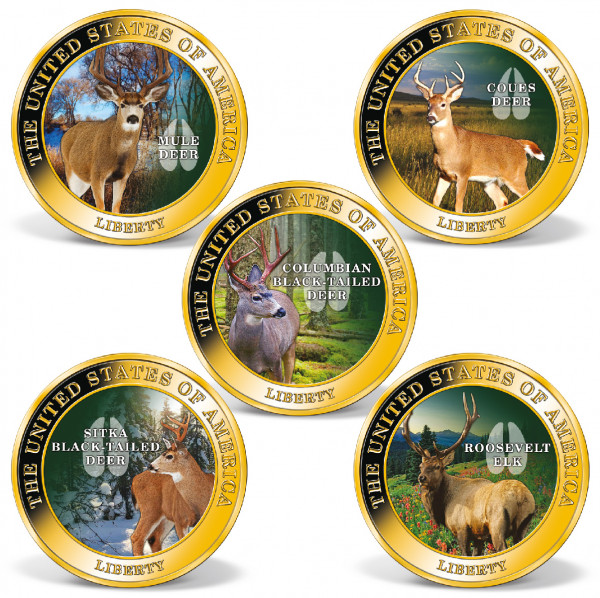 North American Big Game Super 29 | Gold-Layered | Gold | American Mint